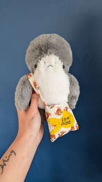 Image 1 of Finley the shark