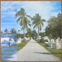 THE DOPAMINES - 80/20
