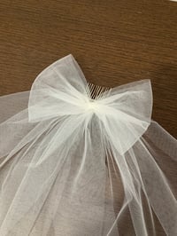 Image 2 of Kim's Wedding Dress + Veil