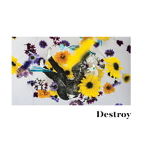 JEFF RIDDLE - Destroy (Acoustic)