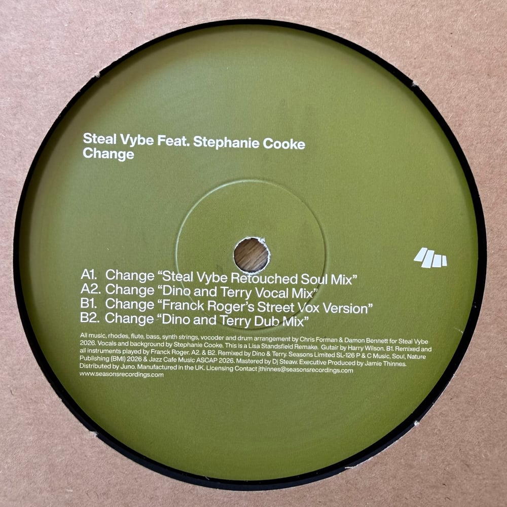 Image of Steal Vybe Featuring Stephanie Cooke 'Change' Franck Roger, Dino & Terry Mixes