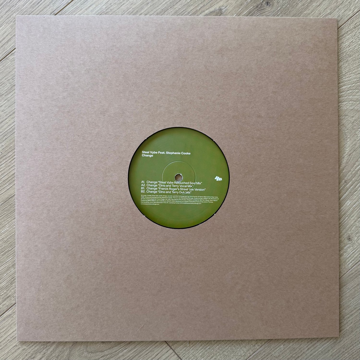 Image of Steal Vybe Featuring Stephanie Cooke 'Change' Franck Roger, Dino & Terry Mixes