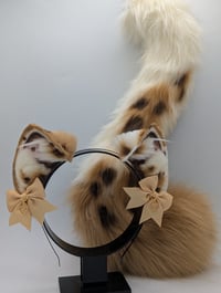 Chocolate chip kitten set