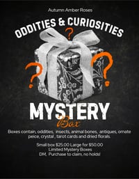 Image 1 of Mystery Box