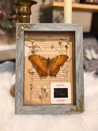 Image 4 of Gulf Fritillary Butterfly No. I