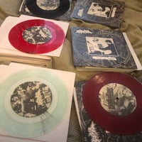 Image 2 of RED 40 // HOMEGROWN SPLIT
