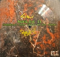 Radarcave - Nailed it (Dead Voices On Air Remix): Autographed 7" Vinyl (Low Stock)
