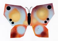 Image 1 of Butterfly #8
