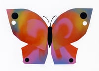 Image 1 of Butterfly #14