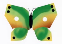 Image 1 of Butterfly #16