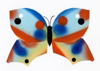Image 1 of Butterfly #19