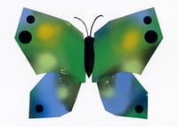 Image 1 of Butterfly #20