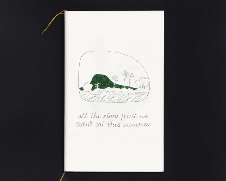 Image of All the stone fruit we didn't eat this summer [booklet]