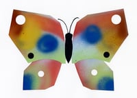 Image 1 of Butterfly #30