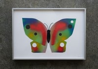 Image 2 of Butterfly #7