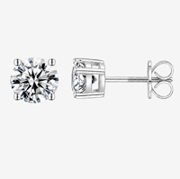 The Everyday Classic Screw Back Studs