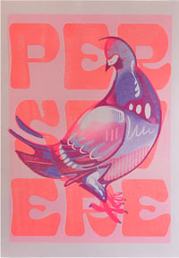 Image 1 of Persevere Pigeon 