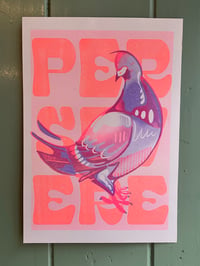 Image 2 of Persevere Pigeon 