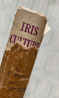 Image 9 of Iris Culture for Amateurs