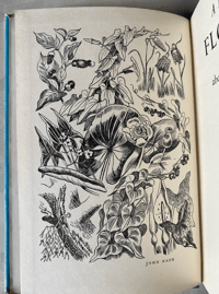 Image 2 of A Prospect of Flowers by Andrew Young