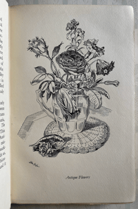 Image 5 of The Curious Gardener by Jason Hill