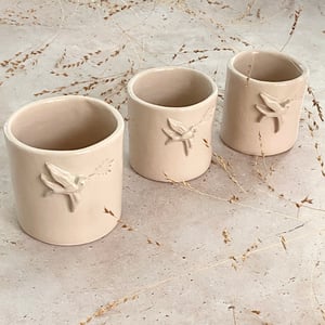 Image of COLLECTION ENVOL 