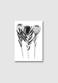 Image 3 of CARTE PROTEAS