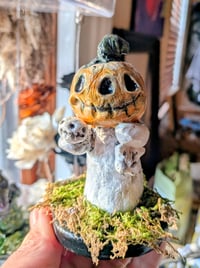 Pumpkin Patch 5