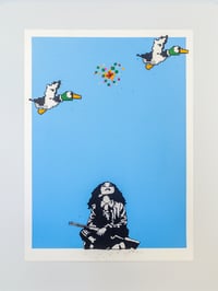 Image 1 of duck
