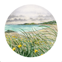 Image 1 of Reef Beach Buttercups (Fine Art Giclée Print)