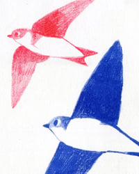 Image 2 of High Fliers