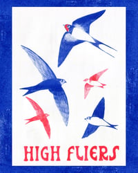 Image 3 of High Fliers