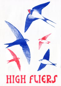 Image 1 of High Fliers