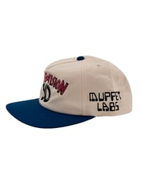 Image 2 of Muppet Vision 3D - Hat