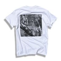 Image 4 of Z-TREE WHITE T