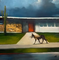 Image 1 of A Coyote in the Neighborhood 