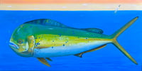 Message in a Bottle, Mahi Mahi
