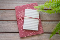 Image 2 of Notebook Cranberry Star + Dove Stripe