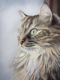 Image 1 of Gray Tabby - Original Pastel Pencil Cat Portrait
