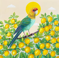 Image 1 of Carolina Parakeet Lemons