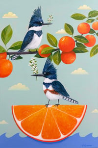 Image 1 of Kingfisher Orange Dream