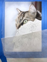Image 3 of Gray Tabby - Original Pastel Pencil Cat Portrait