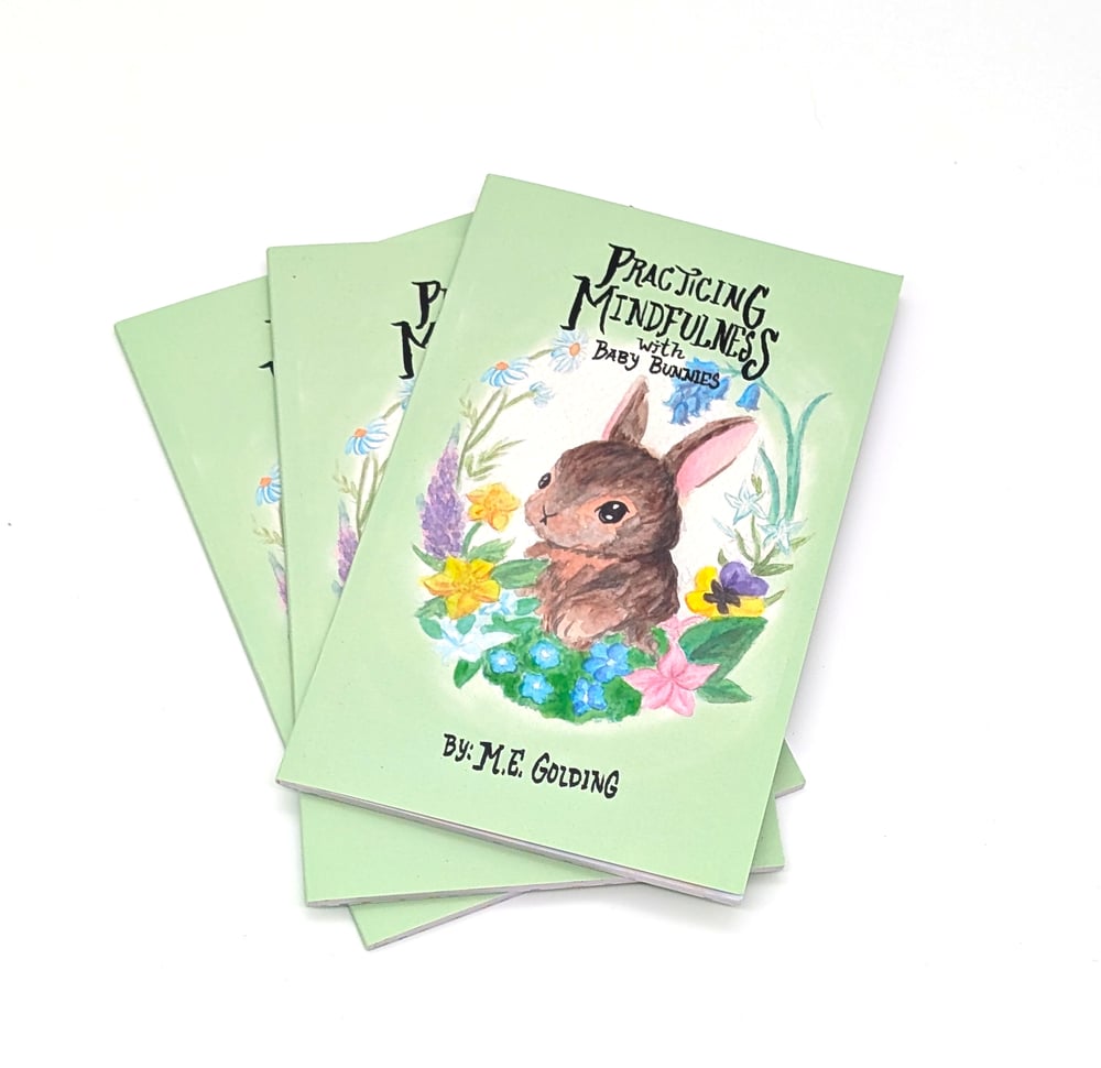 Image of Practicing Mindfulness With Baby Bunnies Book
