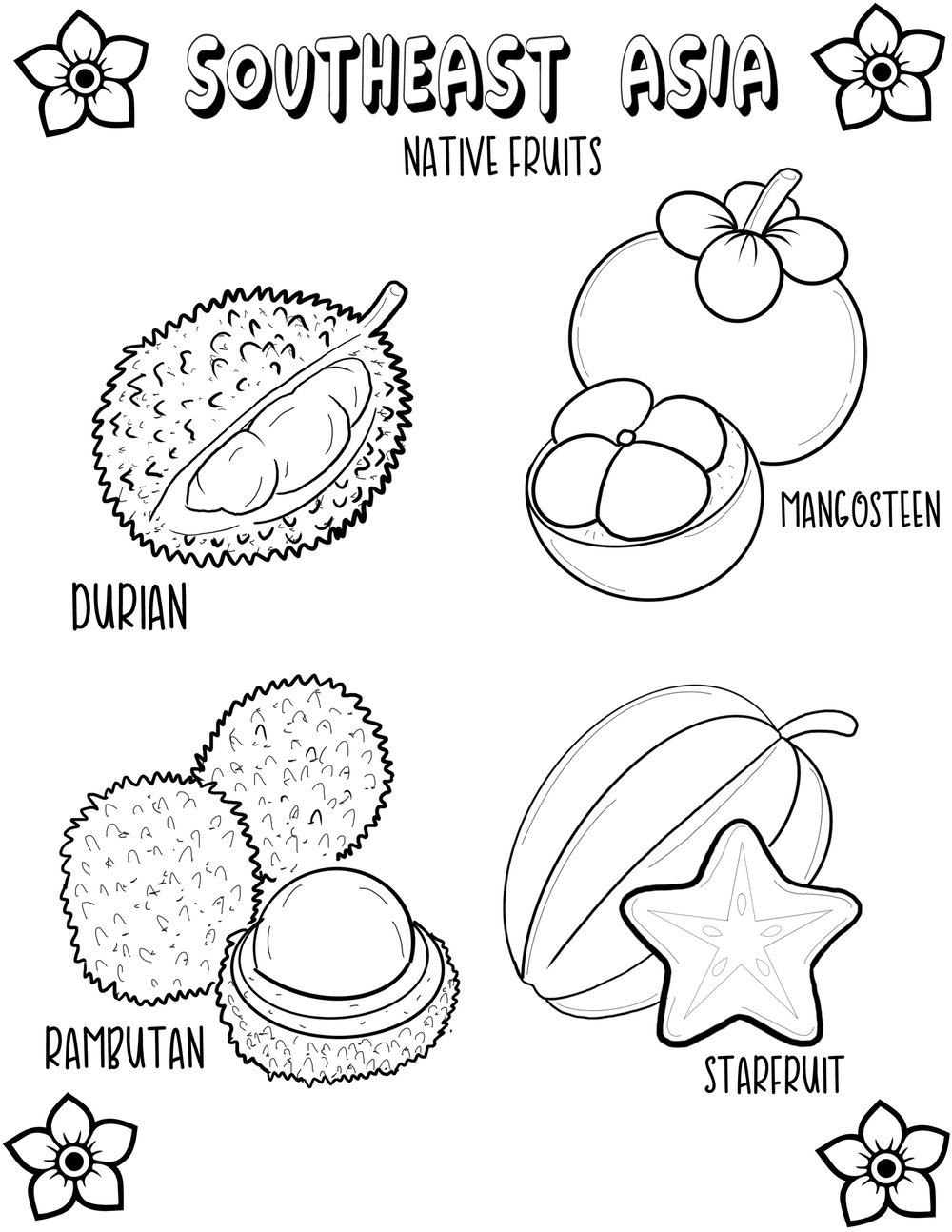 Image of Southeast Asia Fruit 