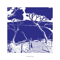 Image 1 of PORQUEROLLES