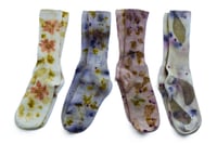 Botanically Dyed Organic Cotton Socks