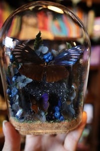Image 3 of My birthday is on the 15th :)