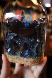Image 5 of My birthday is on the 15th :)