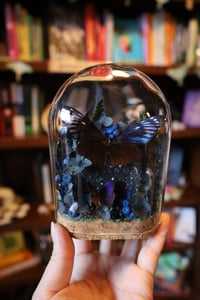 Image 1 of My birthday is on the 15th :)