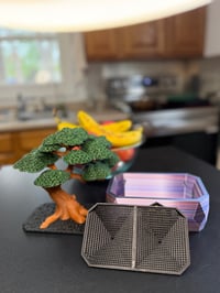 Image 4 of Bonfly Bonsai Tree Fruit Fly Trap